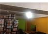 Shop-Mulgi for Rent in Paradise